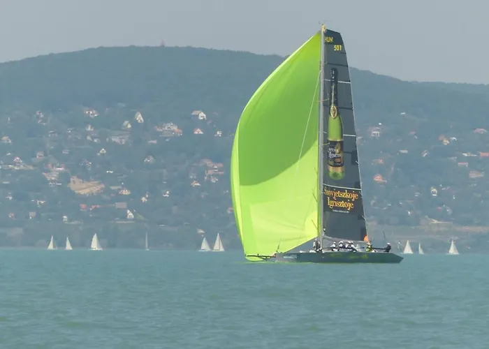 펜션 Toscanaapartmanbalatonhu Family Frend